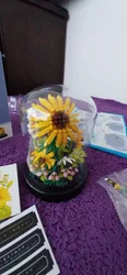 Imagen de reseña 3