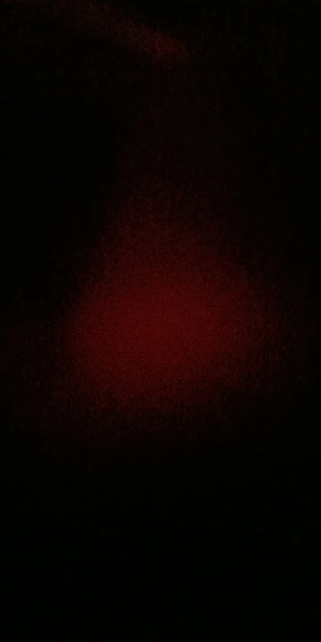 실물 포토 리뷰