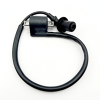 Ignition Coil for CFMoto 500 X5 U5 CF188 Goes 520 525 Renli 500 Diamo Adventure 500 WT Motors WT500 0180-152000 CF188-152000