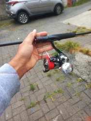 Imagen de reseña 4