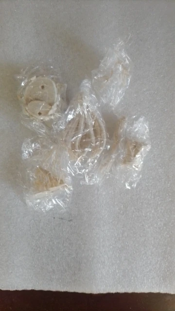 Buyer photo of this resin kit