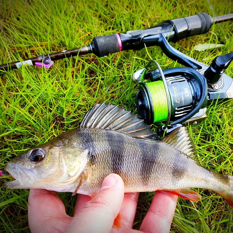 Carrete Spinning Ultraligero Tsurinoya Ranger – Ratio 5.2:1 - imagen 5