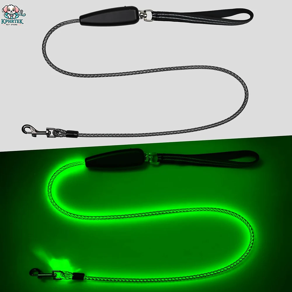 Nighttime Dog Walki… - image