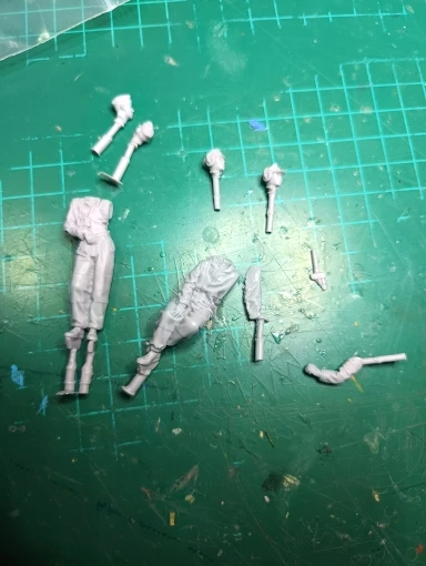 Buyer photo of this resin kit