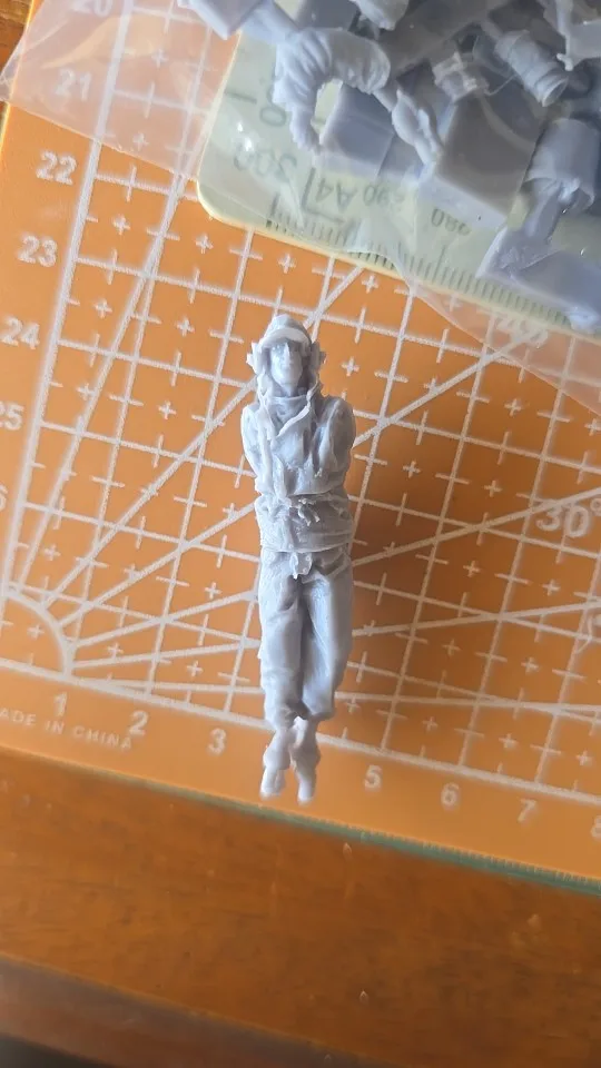 Buyer photo of this resin kit