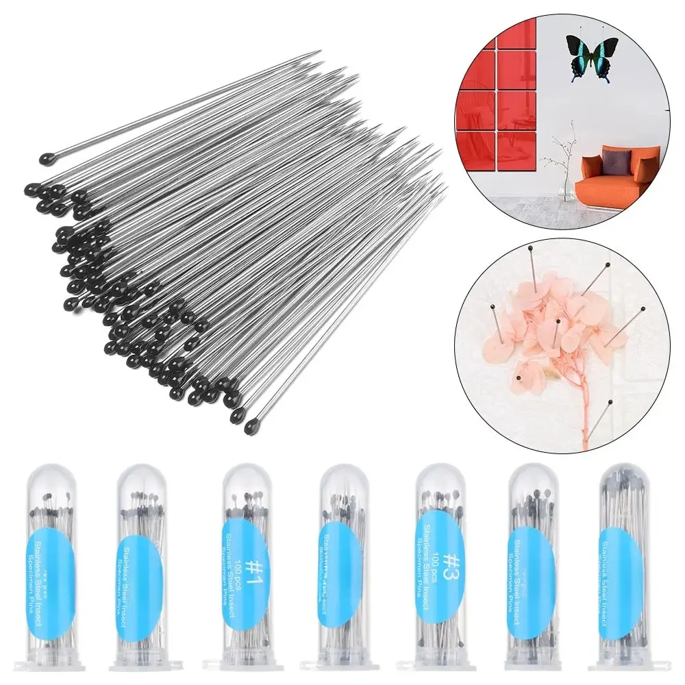 Épingles à Insectes en Acier Inoxydable avec Boîte en Plastique pour Laboratoire Sв, Fournitures de Dissection Corporelle d'Entomologie, 100 Pièces