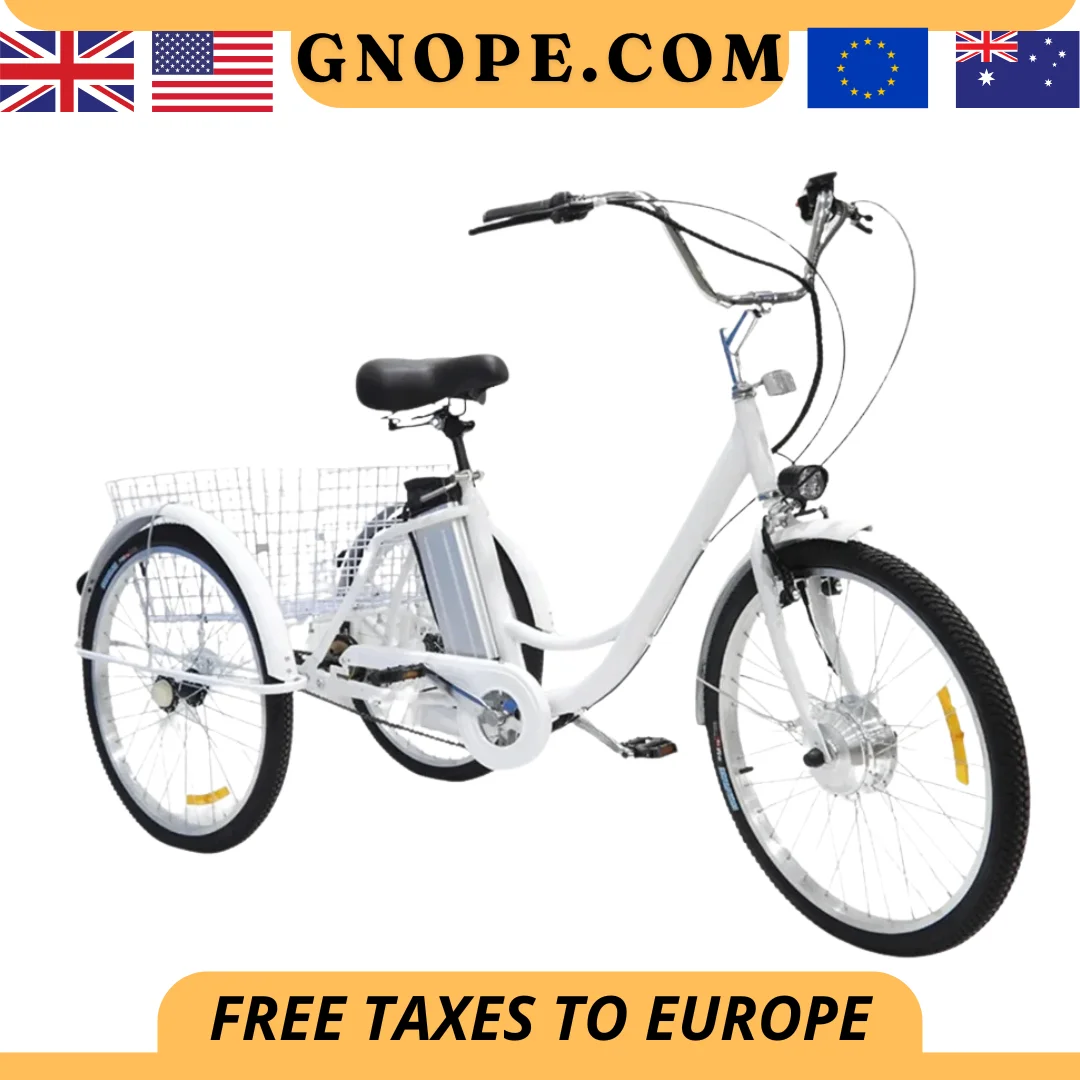 

24 Inch Assisted Electric Tricycle For Elderly 350W 36V Three-wheel Electric Bicycle Lithium Battery Pedal Tricycle Large Basket