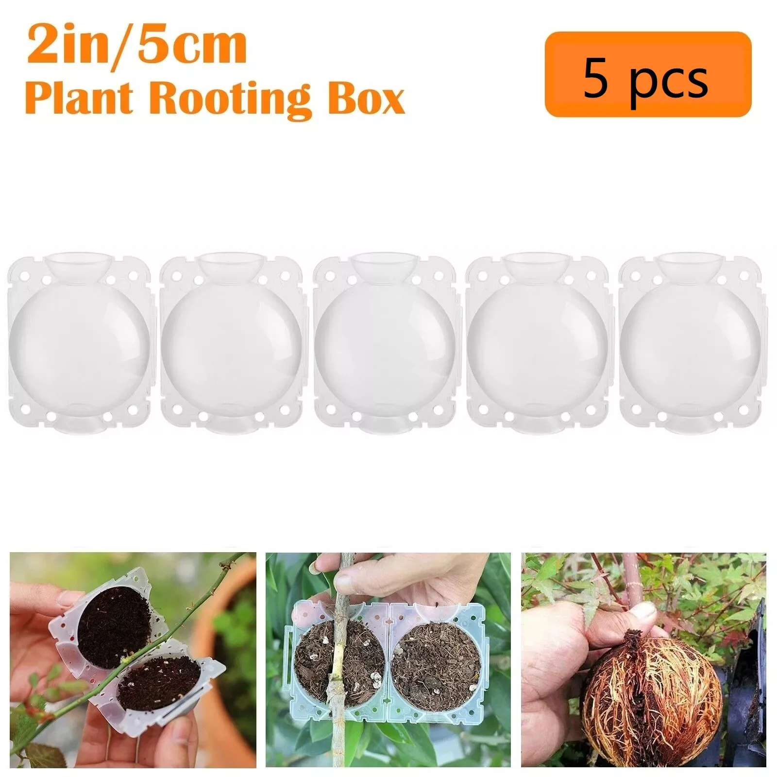 

Устройство для укоренения растений: коробка для прививки, шар для размножения под высоким давлением