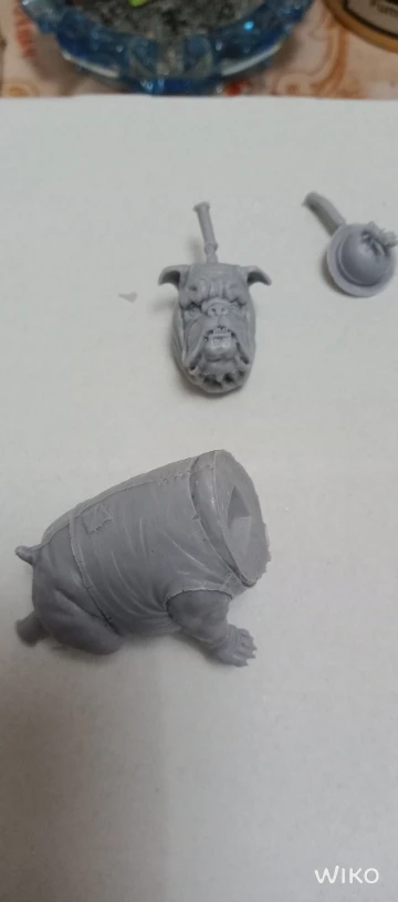 Buyer photo of this resin kit
