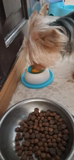 실물 포토 리뷰