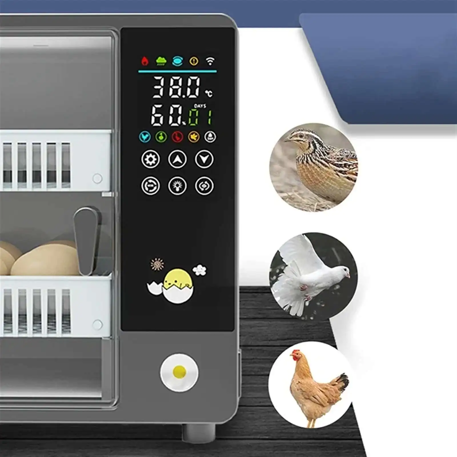 Incubatrice per Uova Mini Completamente Automatica, Schiuditrice Digitale Intelligente per Uova di Pollo, Quaglia e Pollame con Schermo Touch, Rotazione Automatica delle Uova e Doppia Umidificazione