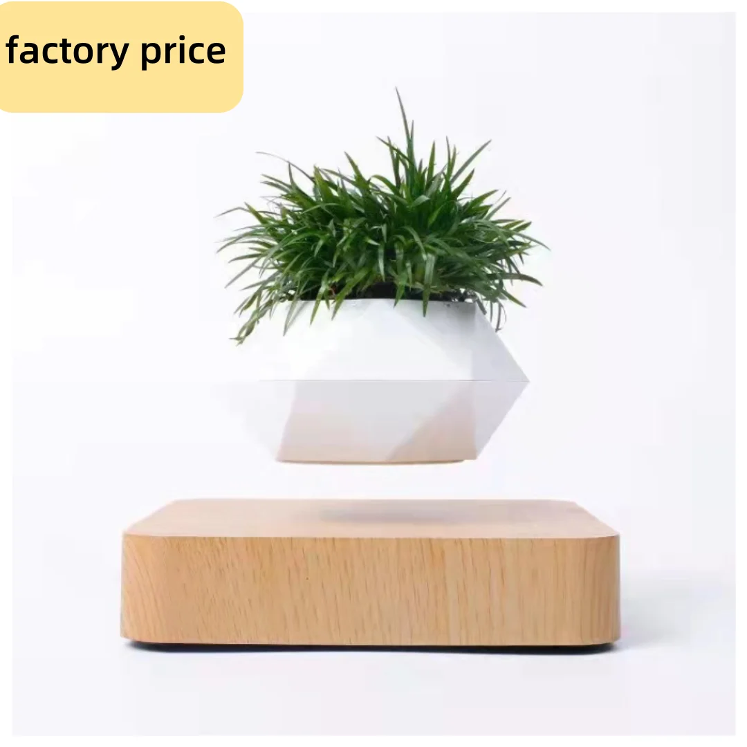 

New Invention Small Floating Plastic Bonsai Tree Pot Levitating Plant Pot for Plants