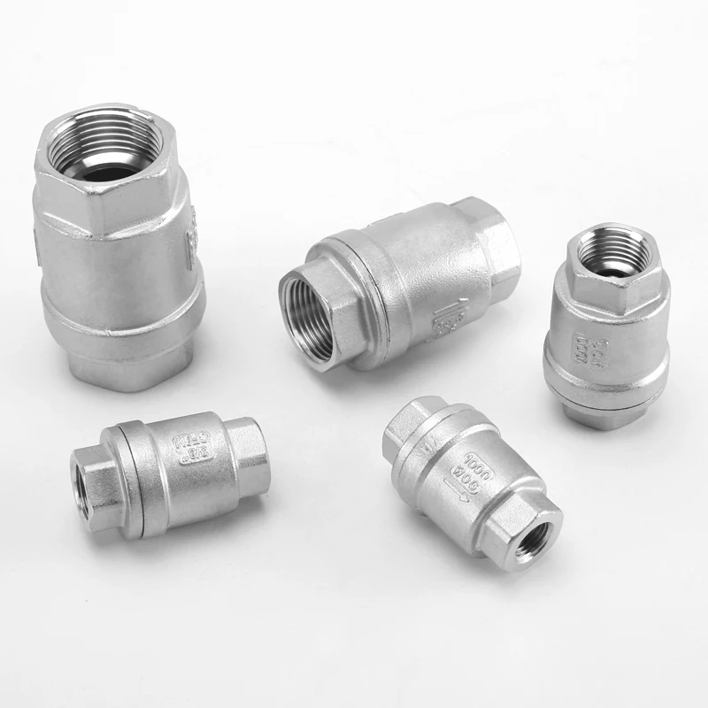 Válvula de retención unidireccional 1/4 "3/8" 1/2 "3/4" 1 "rosca hembra BSP Válvula de no retorno de acero inoxidable 304 para sellado de accesorios de tubería de bomba de agua