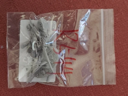 Buyer photo of this resin kit