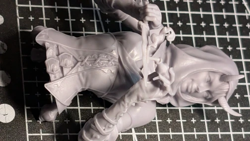 Buyer photo of this resin kit