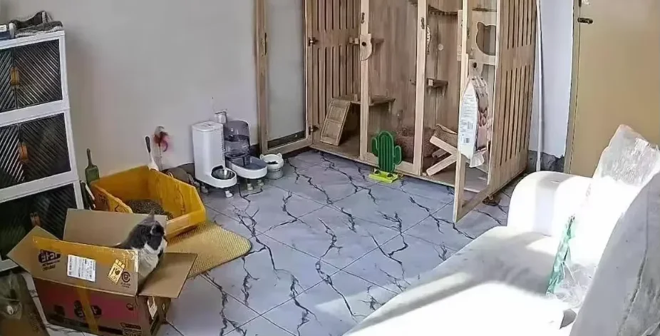 구매후기