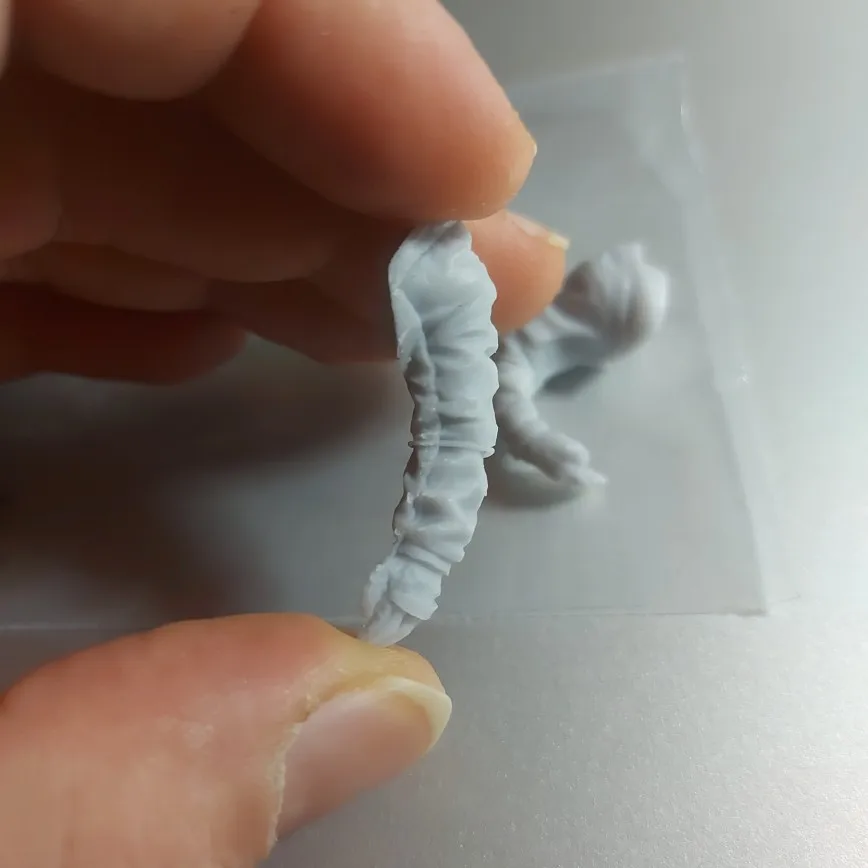Buyer photo of this resin kit
