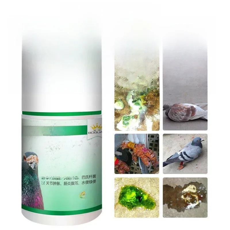 Fièvre typhoïde de pigeon arrêter Salmonella eau verte tabouret gonflement articulaire entérite jaune blanc selles diarrhée tête tournante