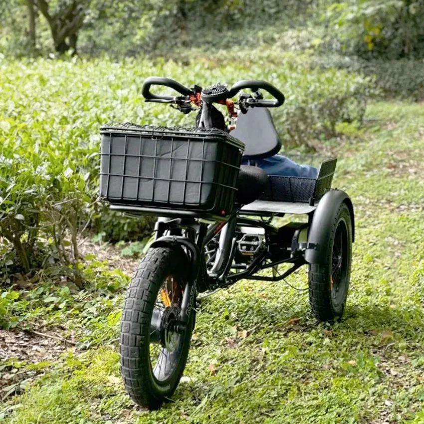 Triciclo elettrico da 20 pollici triciclo multiuso da viaggio lungo 3x3 forza motrice anteriore e posteriore triciclo ad alta potenza da 500w