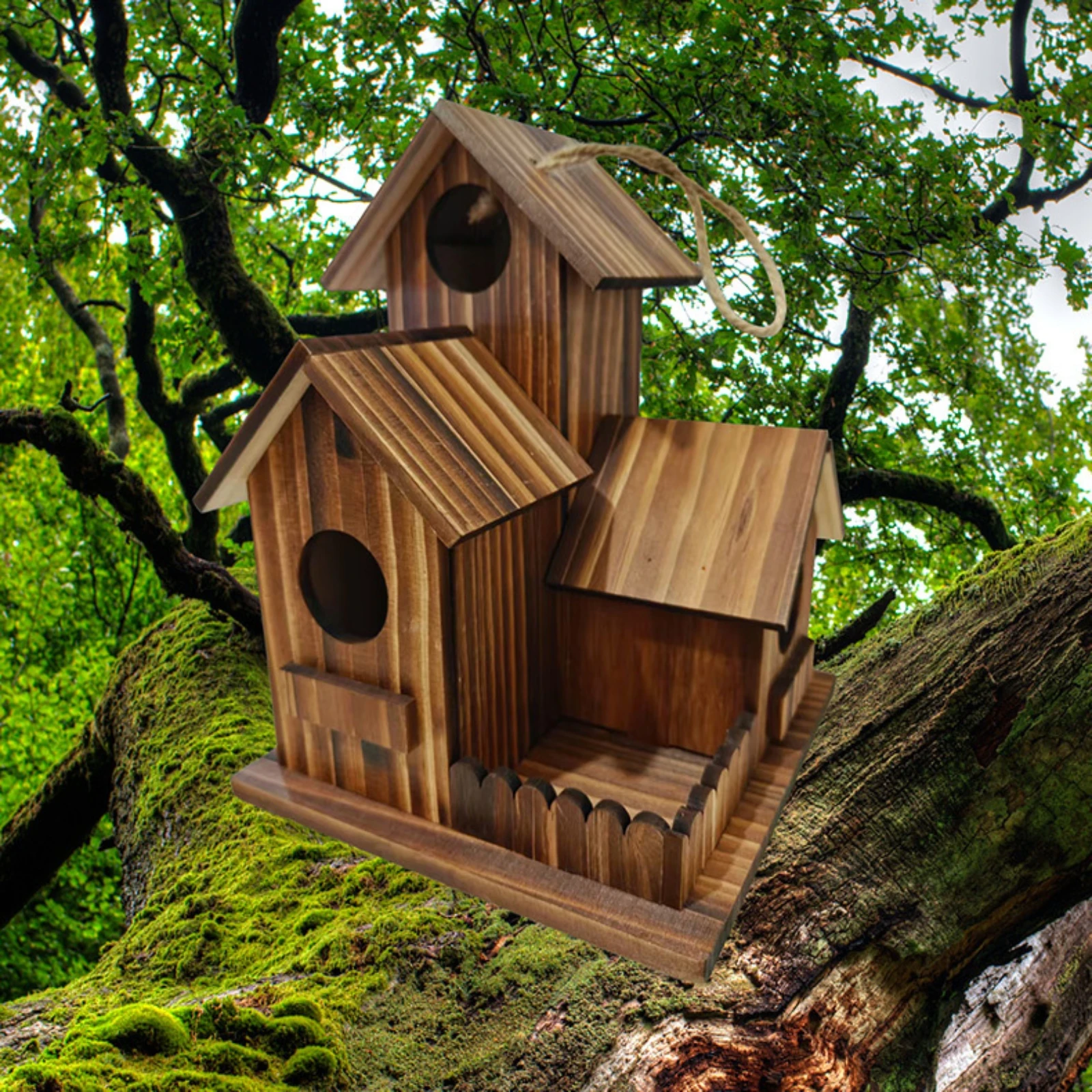 Thumbnail 2 - #32 Latest Birdhouses Offers