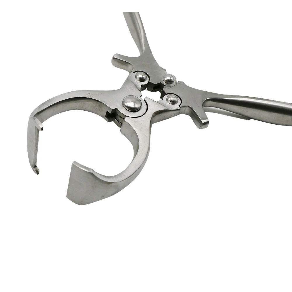 1Pc Livestock Without Blood Castration Pliers Pig Sheep Testicular Castration Clamp Farm Animal Scrotum Clamps Veterinary Tools