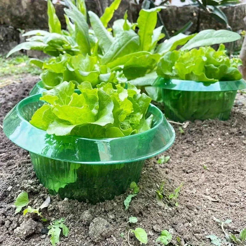 Planten Naaktslak Bescherming Ringen Groenten Cover Plant Slak Kraag Guard Groene Planter Bloempot Ongediertebestrijding Trapper Tuingereedschap - afbeelding 2