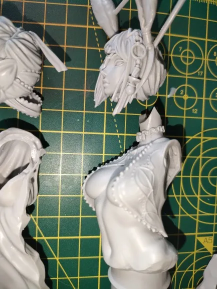 Buyer photo of this resin kit