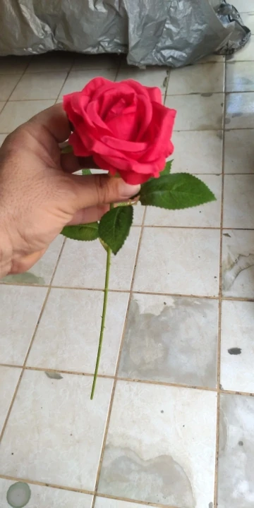 리뷰 사진