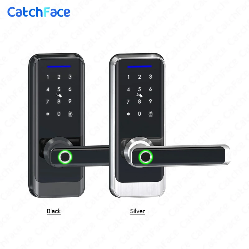 Brazil Electronic Fingerprint Biometric Frosted Panel Digital Smart Door Lock WiFi TUYA or TTLock APP Password IC Card Security