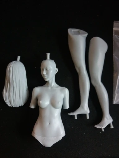 Buyer photo of this resin kit