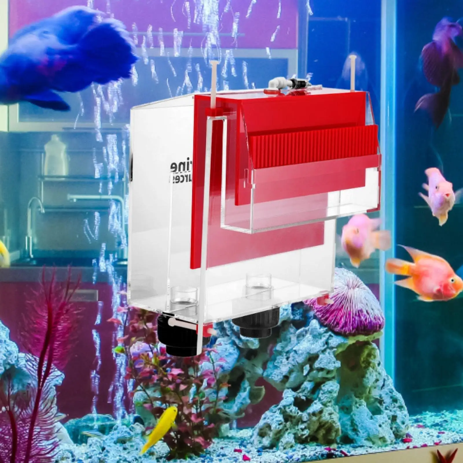 Thumbnail 2 - #4 Latest Aquarium Overflow Boxes Offers