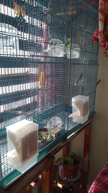 구매후기
