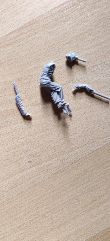 Buyer photo of this resin kit
