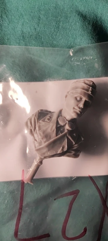 Buyer photo of this resin kit