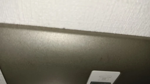 실물 포토 리뷰