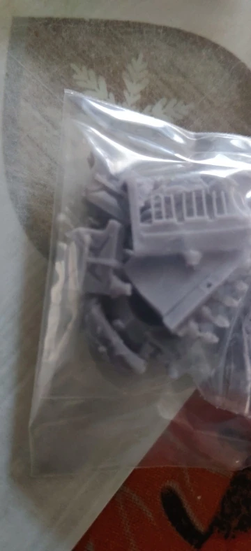 Buyer photo of this resin kit