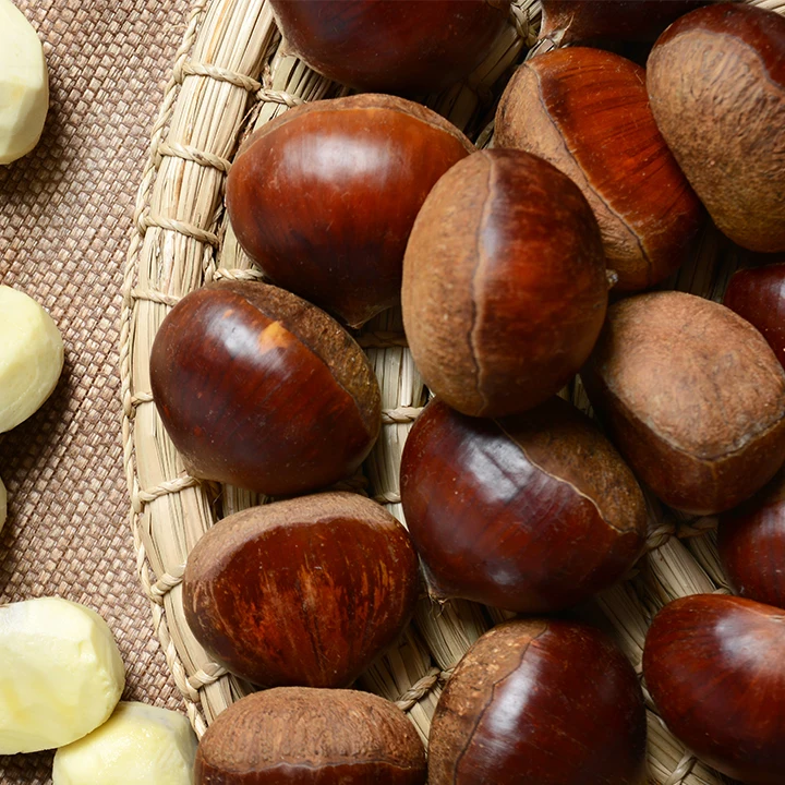 24년 국산 햇밤 대 알밤 단밤 생밤