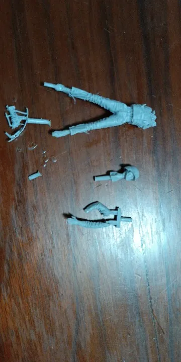 Buyer photo of this resin kit