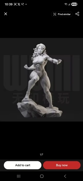 Buyer photo of this resin kit