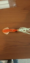 Imagen de reseña 2