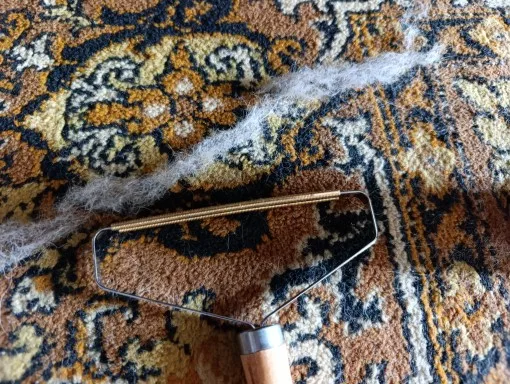 Customer review photo for Manual Pet Hair & Lint Remover Brush