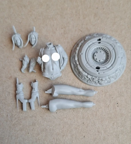 Buyer photo of this resin kit