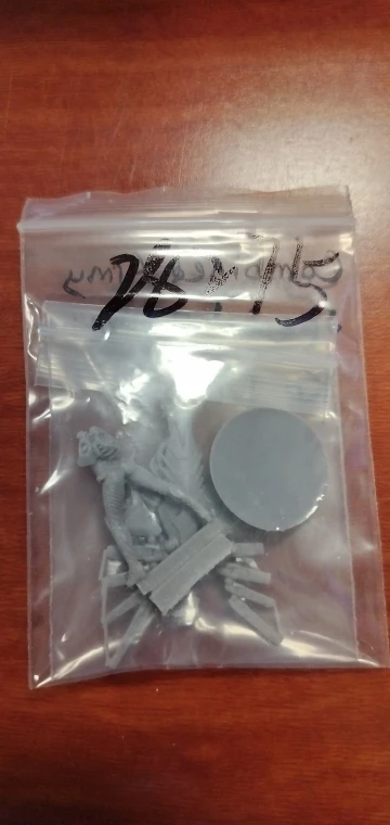 Buyer photo of this resin kit