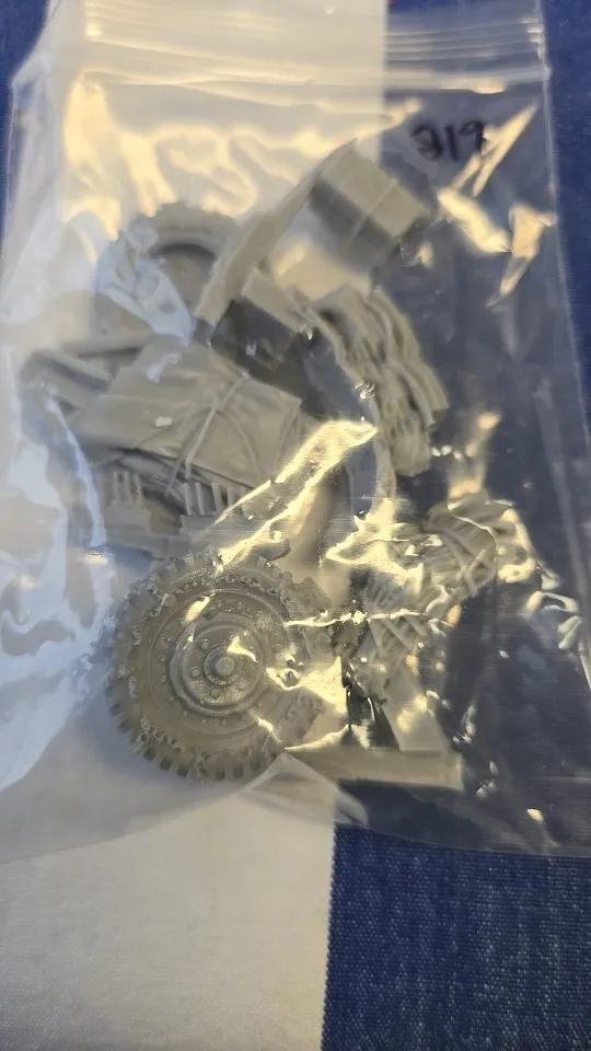 Buyer photo of this resin kit