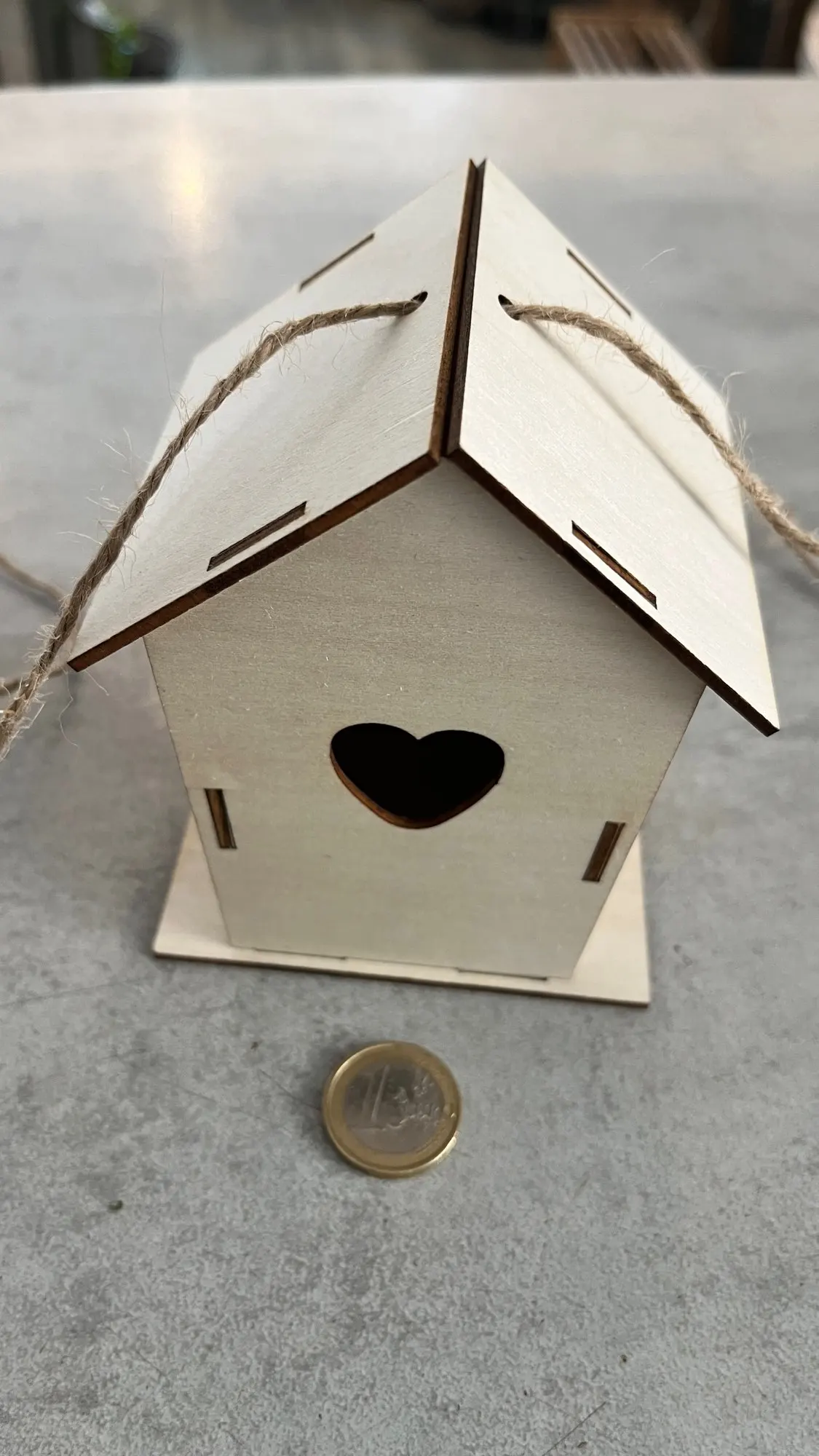 Wooden DIY Bird Nest House Outdoor Hanging Birdhouse Box With Hemp Rope for Painting DIY Outdoor Garden Yard Decoration photo review
