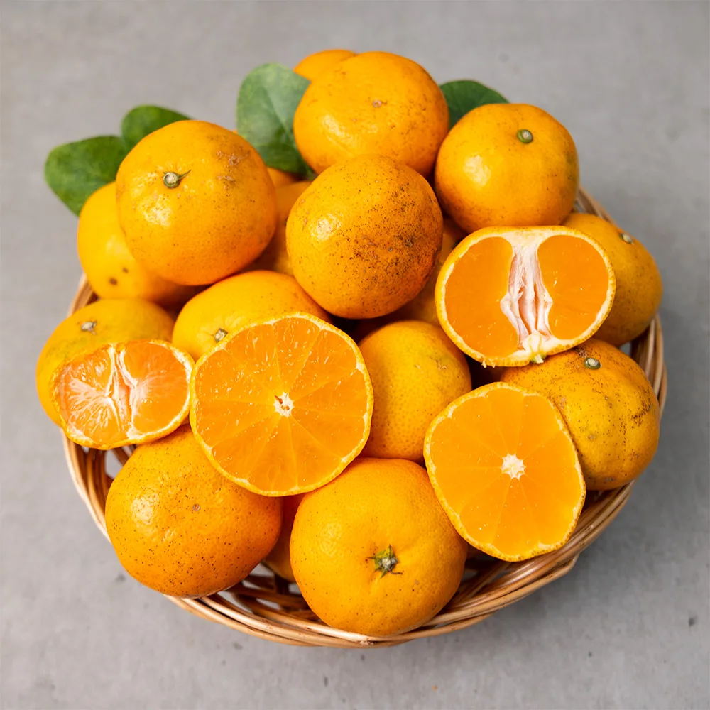 Sweet household Jeju Nojoseojosrain citrus 5kg/Full Jeju Golden incense 3kg