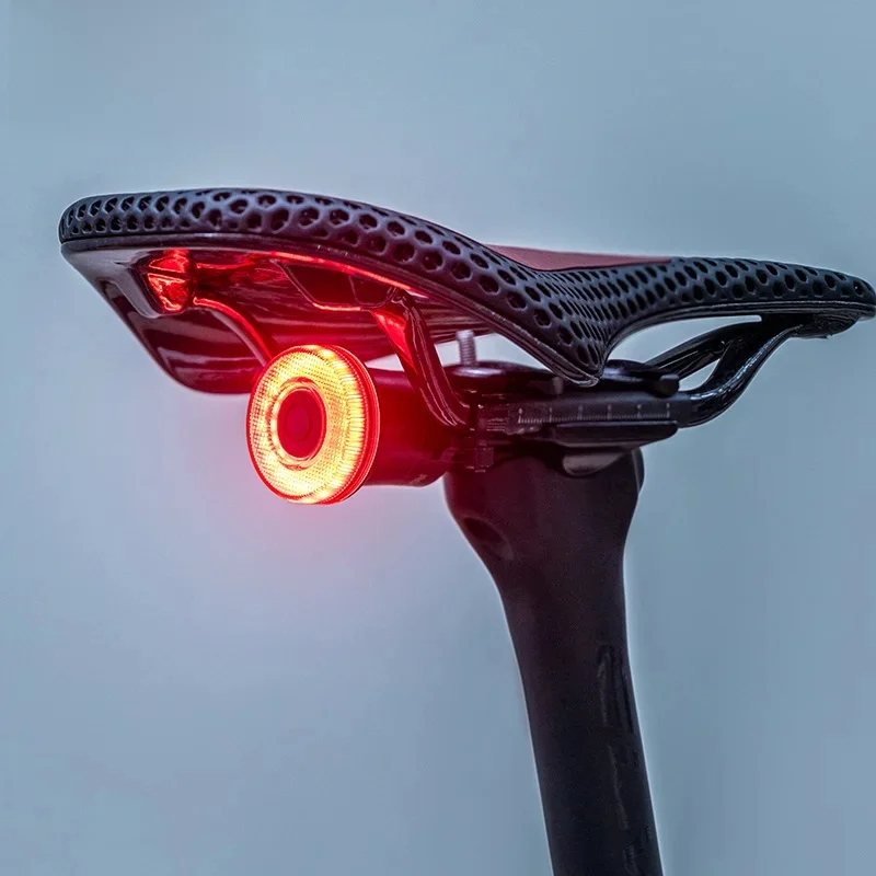 AliExpress ROCKBROS Smart Bike Tail Light Bicycle Rear Lights IPX6 Waterproof Bike Lights for Night Riding with Type C Rechargeable