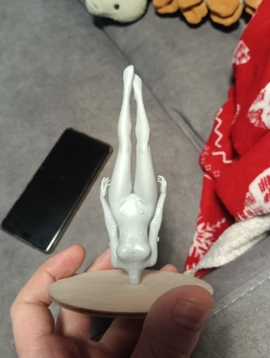 Buyer photo of this resin kit