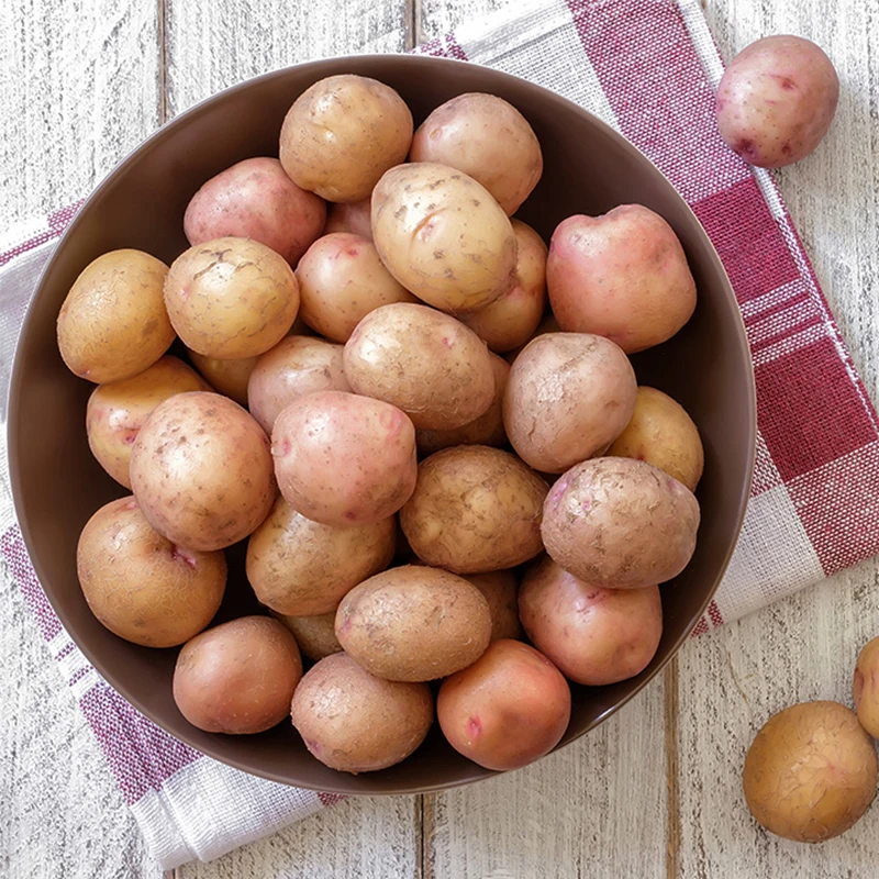 신선한 제철 국산 햇감자 수미감자 흙감자 소중대특