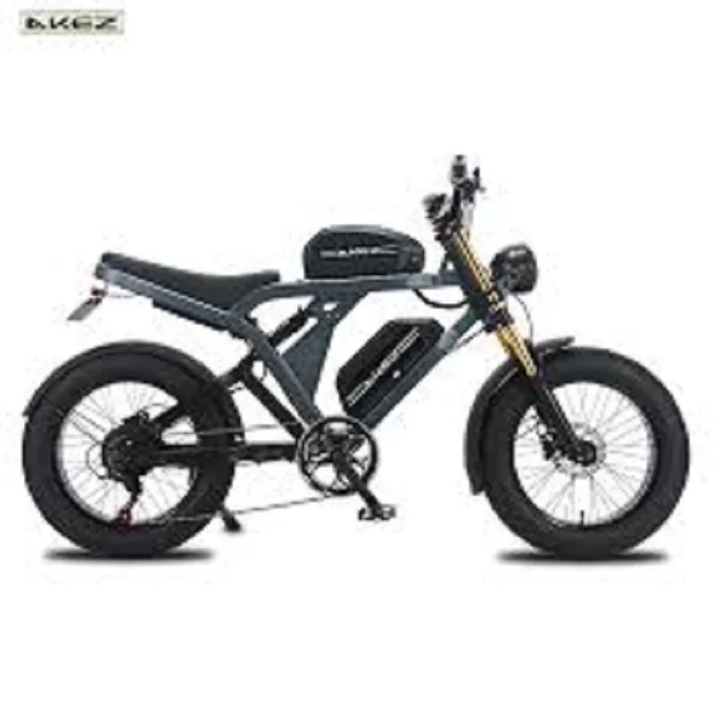 AKEZ 電動自転車 オフロード マウンテンバイク 【公式通販】